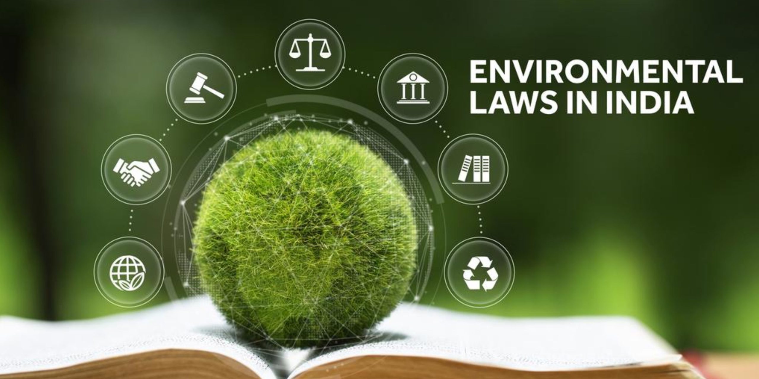 environmental lawyer in Delhi